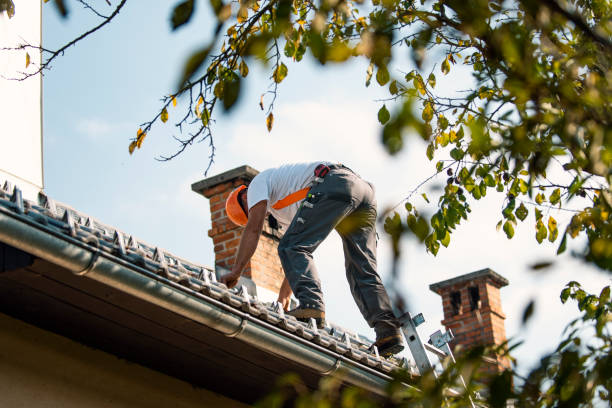 Best Roof Leak Repair  in Anamosa, IA